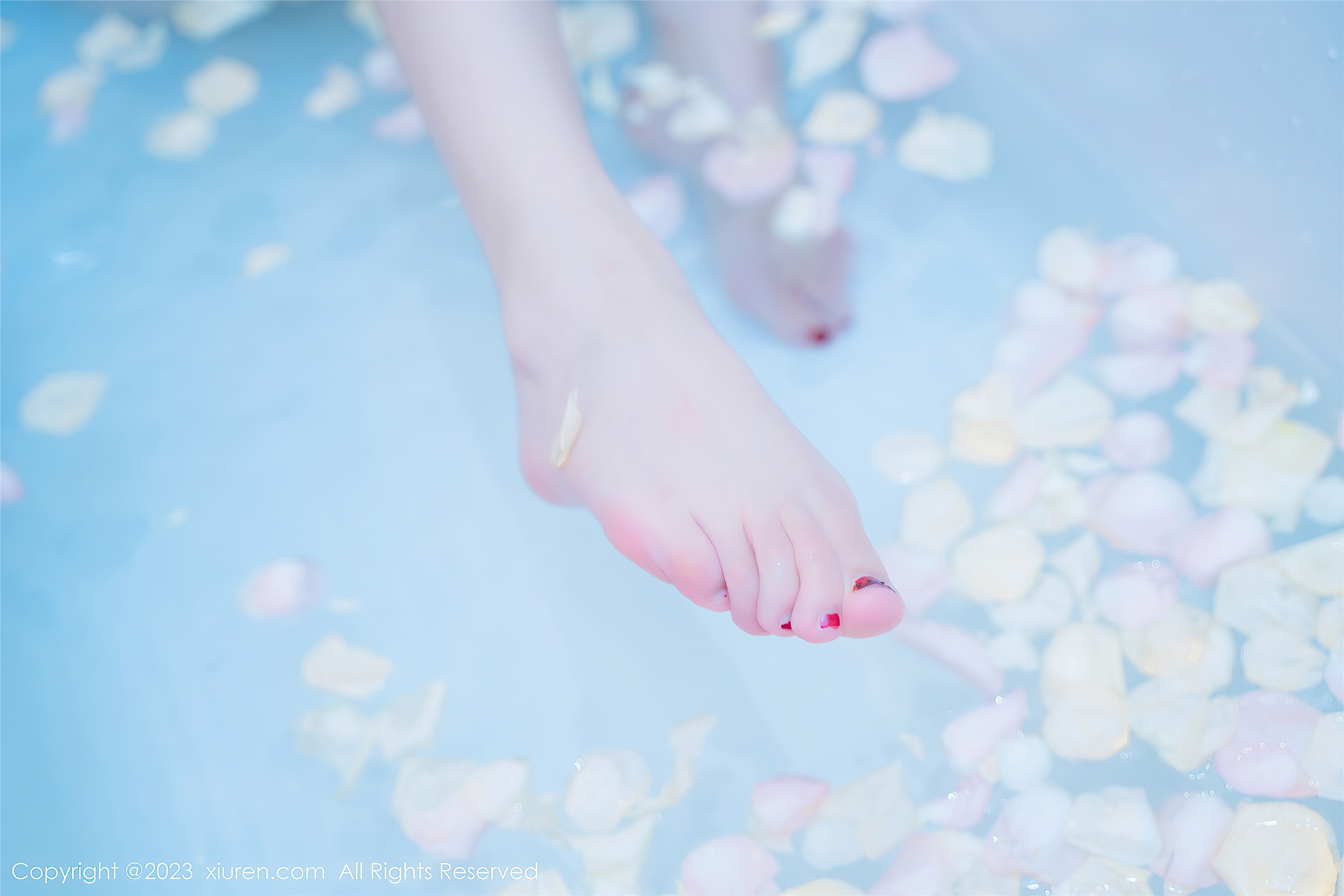 XiuRen秀人网  2023.06.28 NO.6986 加朵babe